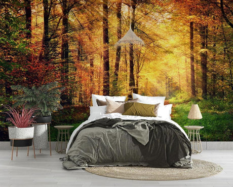 Forest wallpaper mural in cozy living room showing golden sunbeams through autumn trees