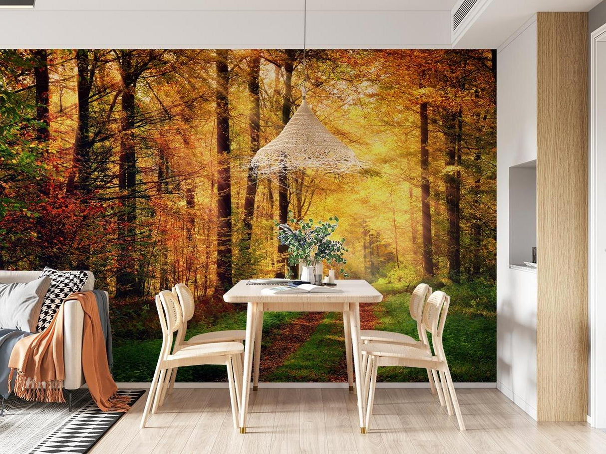 Woodland path wallpaper transforming dining room with warm autumn colors
