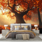 Forest mural wallpaper in modern living room showing autumn tree with golden sunlight creating warm, inviting atmosphere