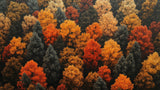 Autumn Forest Wallpaper design file showing detailed aerial view of fall foliage in peak colors