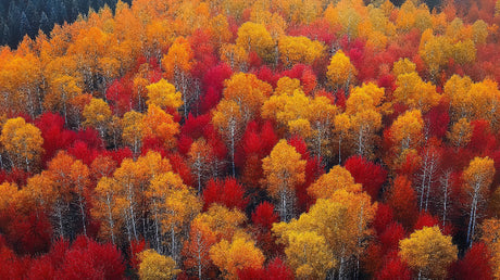 Forest mural wallpaper design file showing detailed autumn trees pattern with vibrant red and gold colors