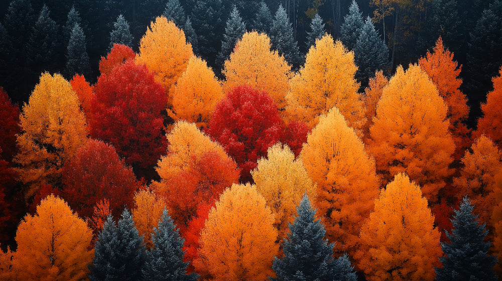 Autumn Forest design file showing detailed red and golden foliage pattern