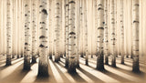 Sepia birch tree forest wallpaper design file showing full pattern detail