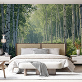 Birch forest wallpaper creating a serene atmosphere in a modern living room with natural light