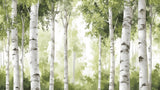 Birch forest wallpaper design file showing detailed white trunks and green foliage pattern