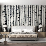 Black and white birch forest wallpaper creating a dramatic statement wall in a modern minimalist living room