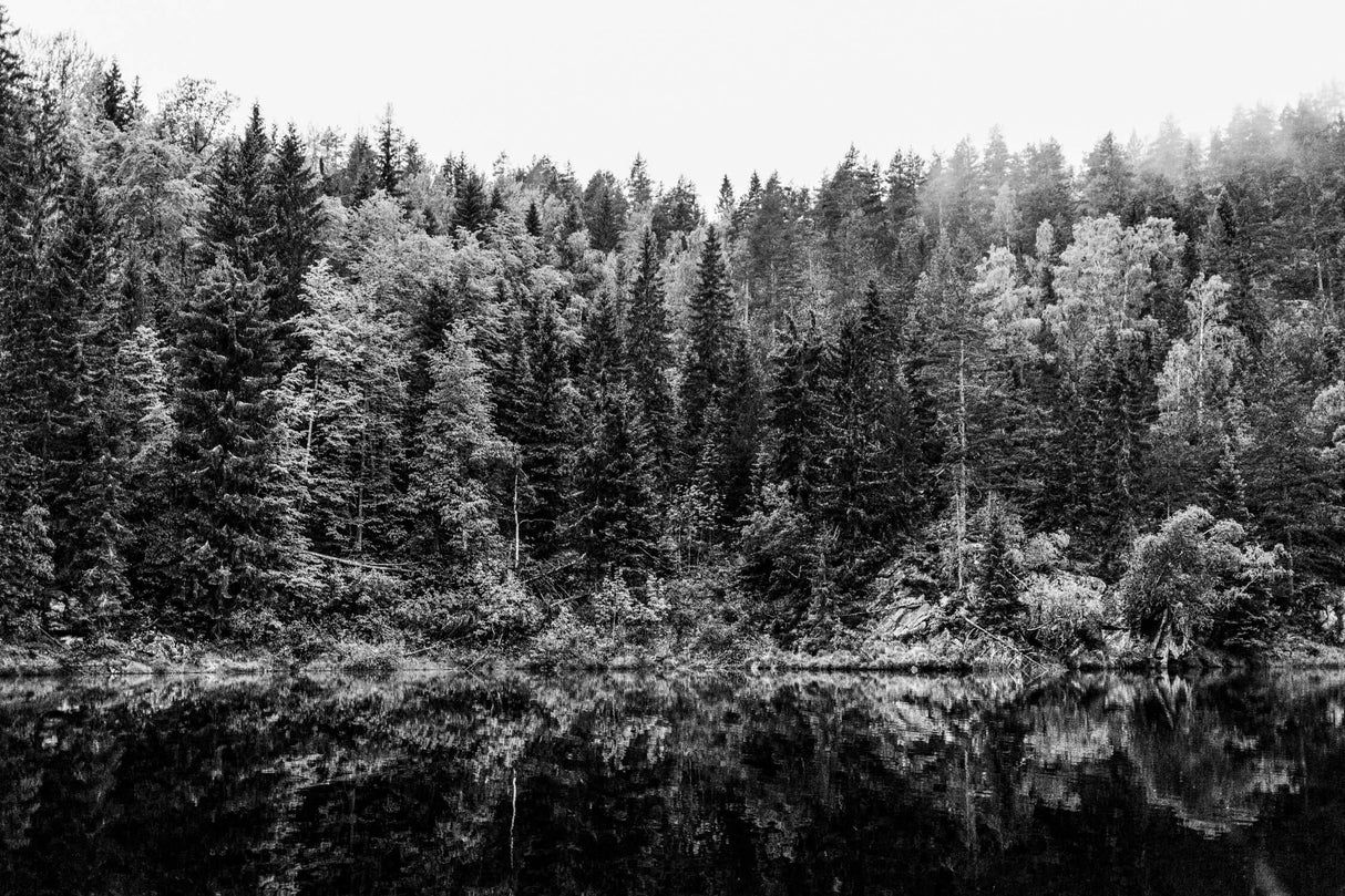 Design file showing detailed forest and lake reflection pattern in black and white