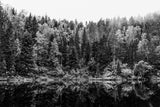 Design file showing detailed forest and lake reflection pattern in black and white