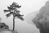 Design file showing detailed pine trees and mountain lake pattern in black and white