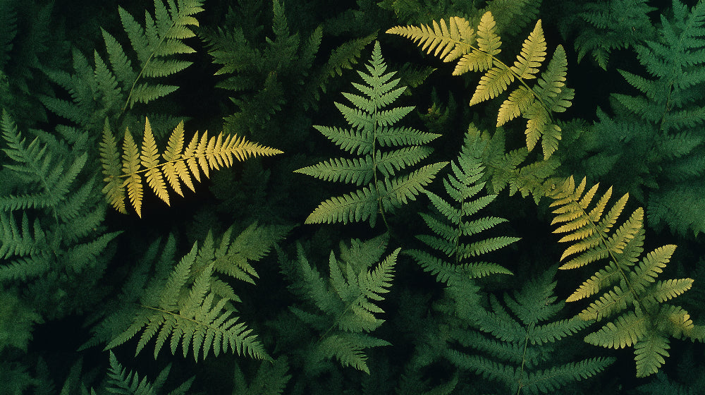 Golden fern leaves design file showing intricate botanical pattern detail