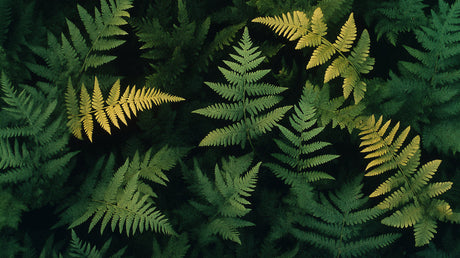 Golden fern leaves design file showing intricate botanical pattern detail