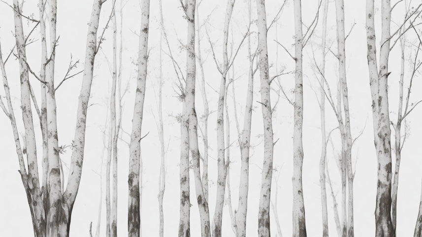 Birch Forest Wallpaper design file showing detailed white tree trunks on misty background