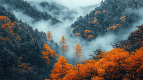 Forest mural wallpaper design file showing full misty mountain landscape pattern with autumn colors