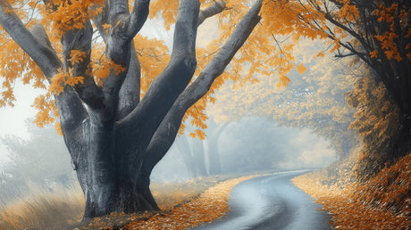 Autumn forest path wallpaper design file showing misty morning scene with golden leaves