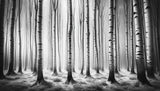 Misty birch trees forest wallpaper design file showing detailed black and white pattern