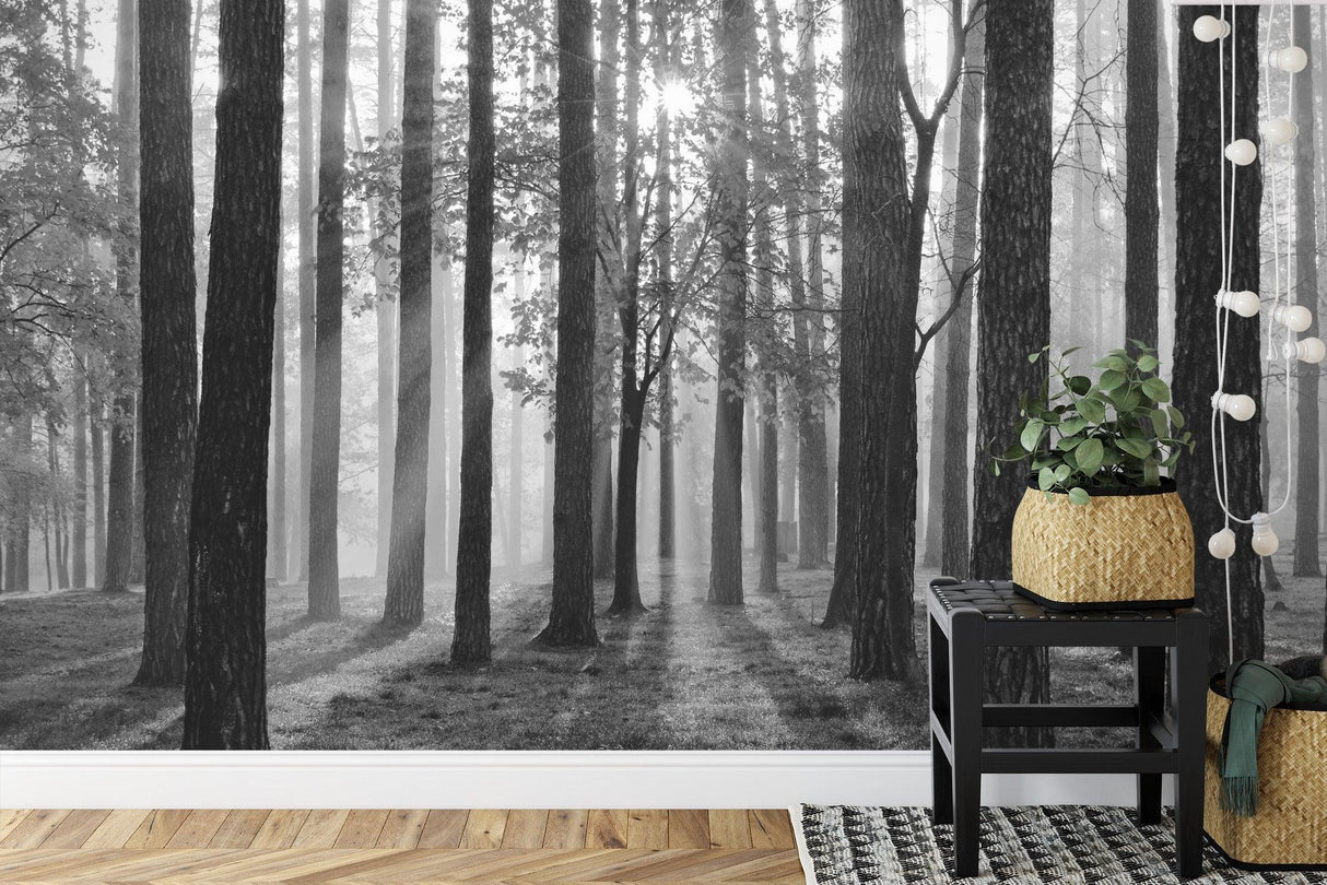 Monochrome forest wallpaper in cozy bedroom showing morning light effect