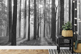Monochrome forest wallpaper in cozy bedroom showing morning light effect