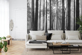 Misty forest wallpaper installation in dining room with natural lighting