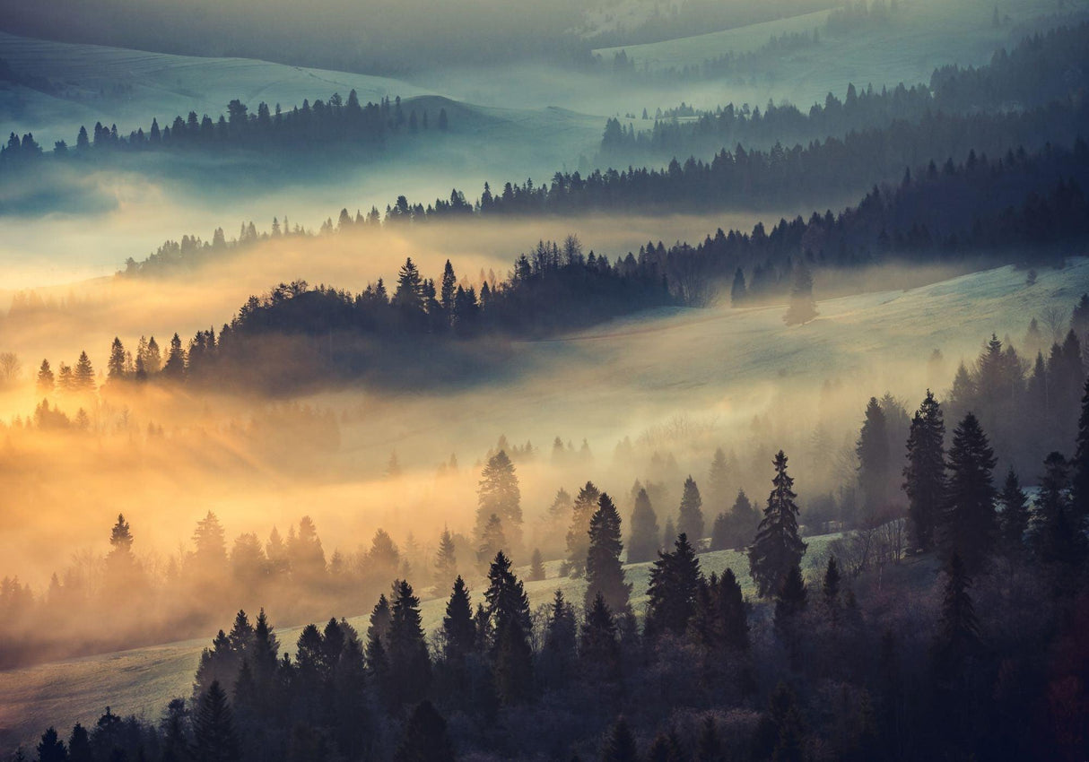 Forest mountain sunrise design file showing detailed misty landscape and morning light effects