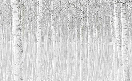 White birch trees wallpaper design file showing detailed trunk textures and misty background pattern