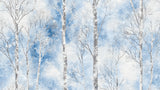Winter birch trees with blue sky design file showing detailed bark texture and misty atmosphere
