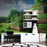 Digital landscape wallpaper brightening gaming room with streaming setup