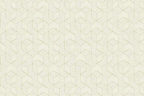 Geometric wallpaper design file showing hexagonal pattern detail