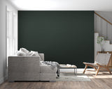 Master bedroom showcasing forest green wall design with minimalist decor