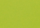 Green wall mural design file showing pure apple green color pattern