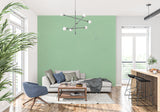 Modern minimalist green wallpaper in a bright living room with contemporary furniture