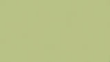 Design file showing soft bamboo green wall pattern texture and color details