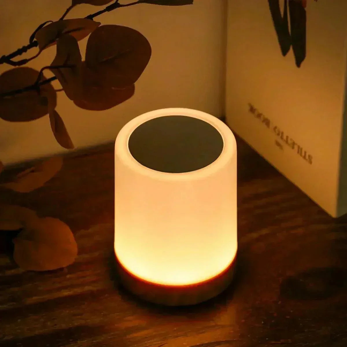 Modern Touch Sensor Lamp  Wooden Base LED Ambient Light - Product detail 5