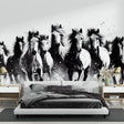 Black and white horse wallpaper mural showcased in a modern living room with minimal furniture and natural light