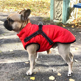 Winter Dog Coat  Built-in Safety Harness Design - Product detail 4