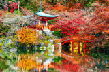 Japanese garden design file showing detailed temple and maple trees pattern