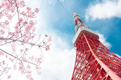 Design file of Tokyo Tower and cherry blossoms mural showing intricate pattern details