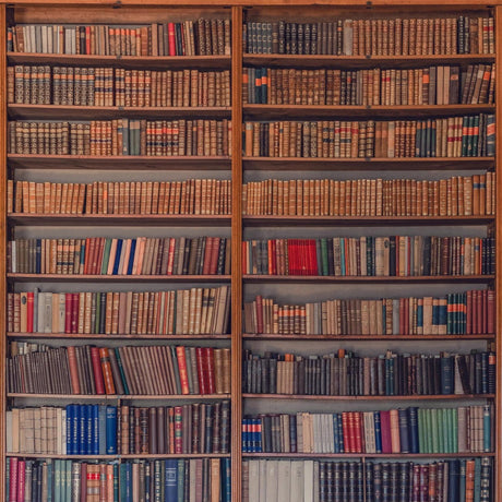 Library bookshelf design file showing detailed vintage book collection pattern