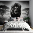 Black and white lion wallpaper creating dramatic impact in a modern living room with minimalist furniture
