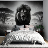 Black and white lion wallpaper creating dramatic impact in a modern living room with minimalist furniture