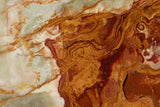 Lion portrait wallpaper design file showing detailed close-up with rich brown tones and striking features