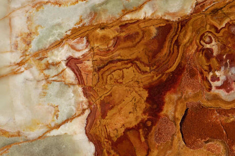 Lion portrait wallpaper design file showing detailed close-up with rich brown tones and striking features