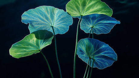 Tropical lotus leaf wallpaper design file showing detailed blue and green botanical pattern