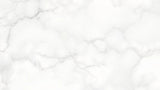 White and gray marble wallpaper design file showing detailed veining pattern and natural stone texture