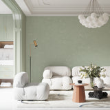 Mint green wall mural adding texture to a minimal entryway