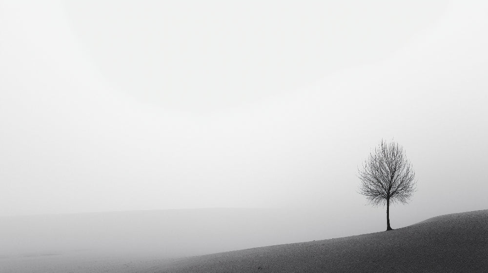 Black and white tree design file showing detailed misty landscape pattern