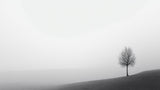 Black and white tree design file showing detailed misty landscape pattern
