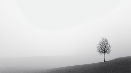 Black and white tree design file showing detailed misty landscape pattern