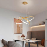 Modern Spiral Chandelier  LED Ring Ceiling Light - Product detail 6