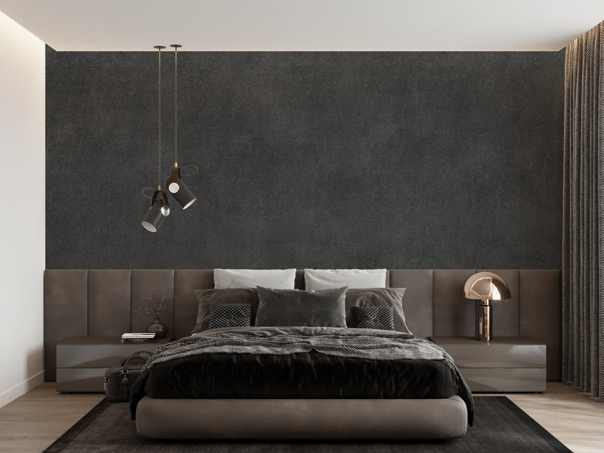 Modern charcoal grey mural in urban apartment entrance