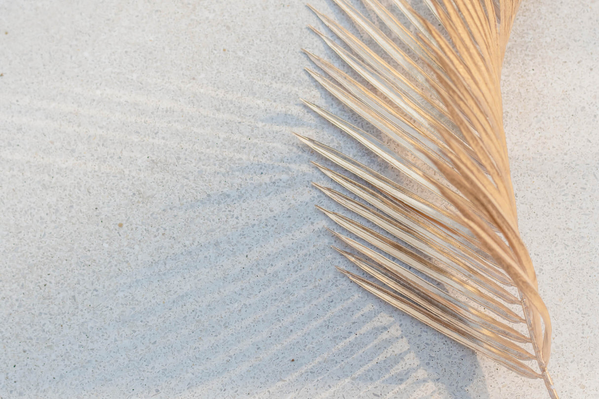 Design file showing modern circular pattern and gold palm leaf detail on white background